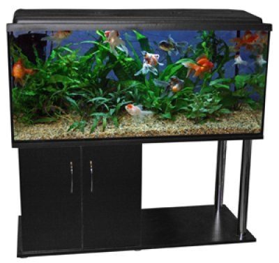 Akwaland 63 ltr. akvarium med lys og bord