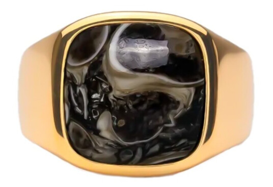 IX Studios Turtle Agate Signet Ring 22 kt. Gullbelagt sølv DMN0282GDTA50 - Unisex - 925 sterling silver
