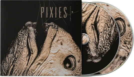 Pixies Complete B Sides: 198897 CD