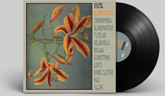 Xylitol Blumenfantasie Vinyl