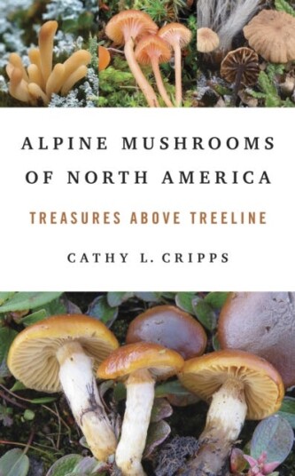 Alpine Mushrooms of North America Treasures Above Treeline