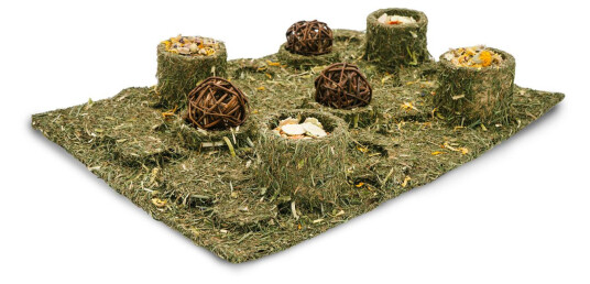 Jr Farm Spiselig Lekepark Xxl
