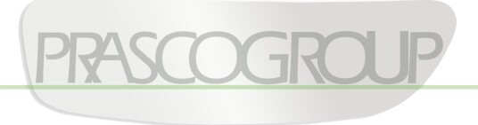 PRASCO FT9107533 Speilglass, ytterspeil