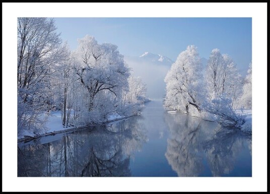 coldest morning Poster Plakat / 40x50cm coldest morning Poster Plakat / 40x50cm