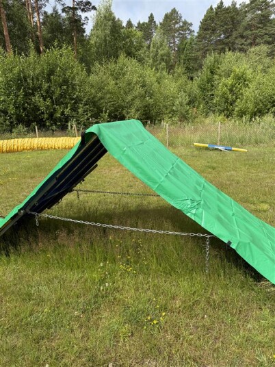 Trekk Til Agility Møne Trekk Til Agility Møne