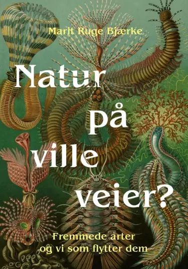 Natur på ville veier? Natur på ville veier?