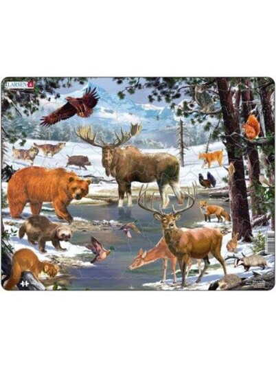Larsen Puzzles North Forrest Larsen Puzzles North Forrest