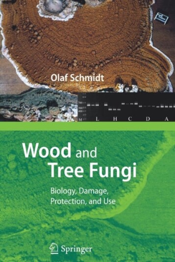 Wood and Tree Fungi