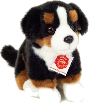 Teddy HERMANN  Berner Sennen hund sitter 21 cm
