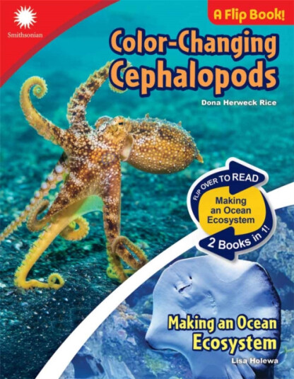 ColorChanging Cephalopods & Making an Ocean Ecosystem