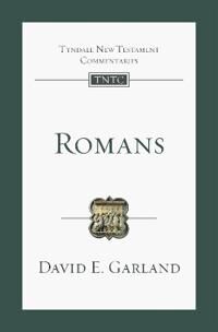 Romans Av David (Author) Garland