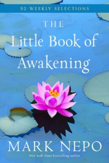 The Little Book of Awakening The Little Book of Awakening