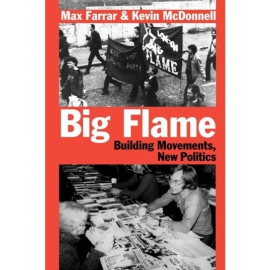 Big Flame Building the Movements, New Politics Big Flame Building the Movements, New Politics