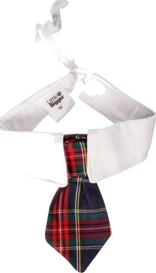 Little&Bigger Festive Slips til Hund og Katt 203938