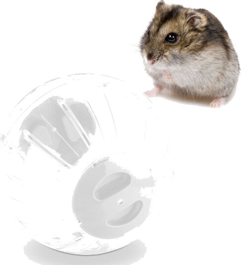 Rxs Hamsterball Med Hvitt Lokk