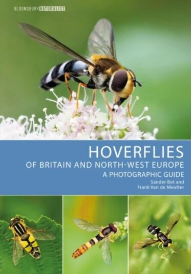 Hoverflies Of Britain And North-West Europe Av Sander Bot, Frank Van De Meutter