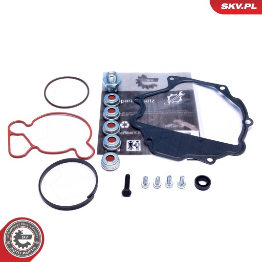Reparatorsett undertrykkspumpe (bremseanlegg) ESEN SKV 18SKV809
