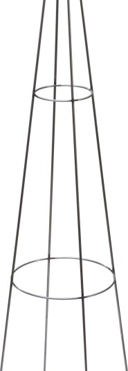 Plantestøtte Obelisk Rust 80 Cm