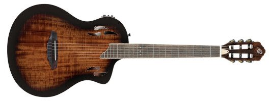 Ortega Guitars Ortega Rtpdlx-Aca Nylonstr. Gitar M/mik Thin Body Slim Neck