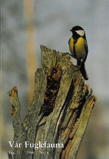 Norsk Ornitologisk Forening Vår Fuglefauna   1988 4 årgang 11