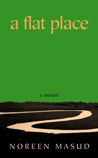 A Flat Place Av Noreen Masud