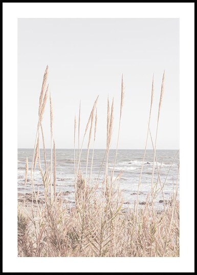 Pictufy Studio Iii Beach_Vass No.1 Plakat Plakat Plakat / 50x70cm