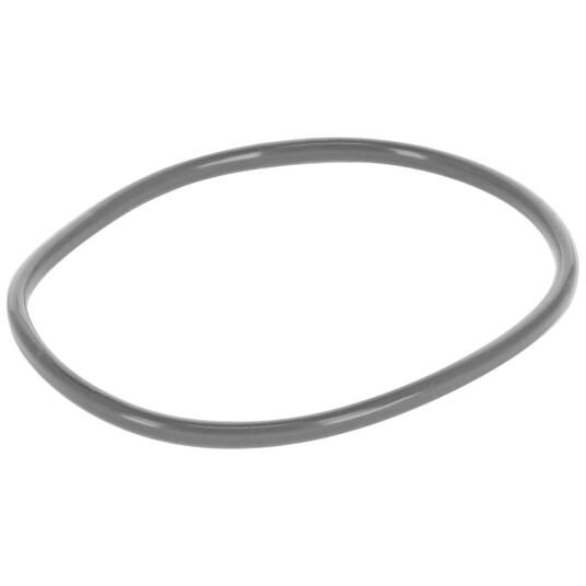 VEGA Tetningsring Haku for 800 ml ; 0.6x0.8x48.3 cm (LxBxH); Sølvfarge