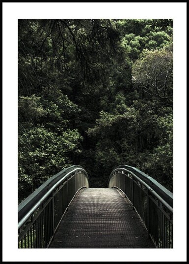 Forest Crossing Plakat Plakat / 100x150cm