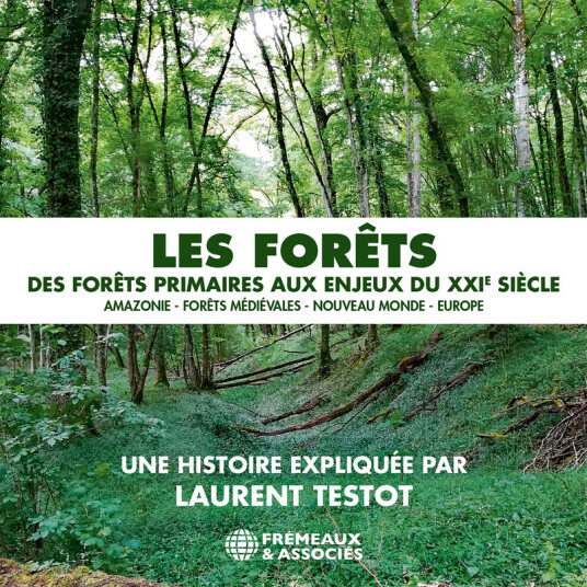 Laurent Testot Les Forets Des Forets Primaires Aux Enjeux Du CD