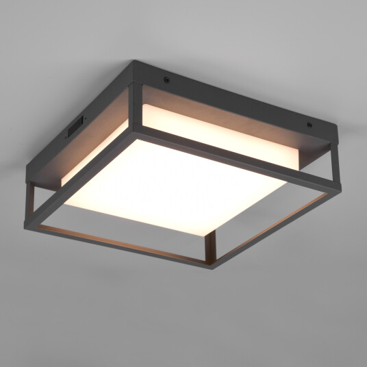 Trio Lighting Witham taklampe - Antrasitt Trio Lighting Witham taklampe - Antrasitt