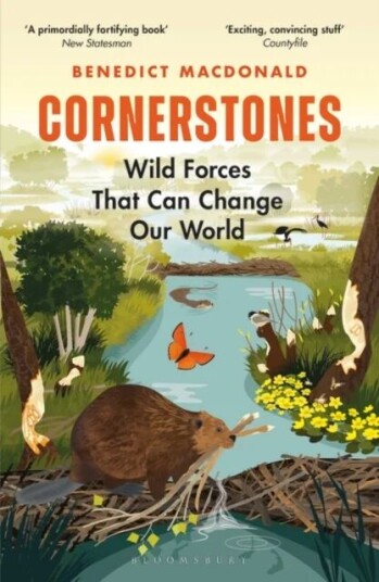 Cornerstones Av Benedict Macdonald