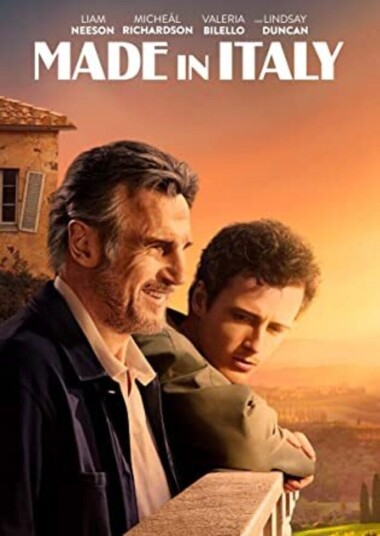 Made In Italy DVD