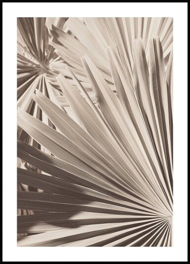Abstract Palm Leaf Art Plakat Plakat / 40x50cm