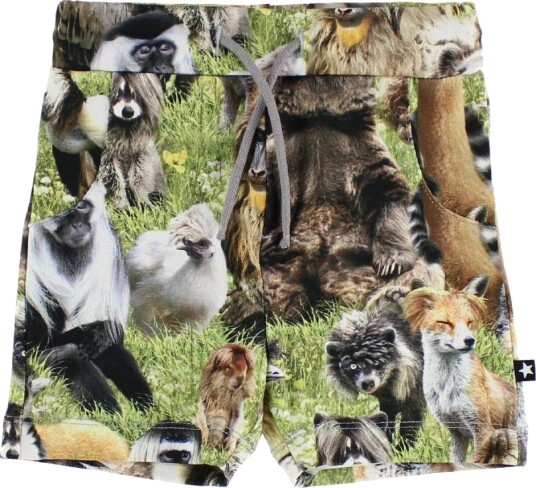 Molo ShortSimroy Hairy Animals Molo 56 Shorts Grå Grønn