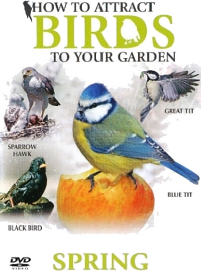 Diverse Artister How To Attract Birds To Your Garden Spri CD