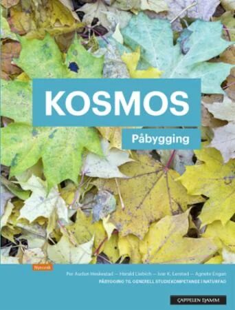 Kosmos Påbygging Av Agnete Engan, Per Audun Heskestad, Ivar K. Lerstad, Harald Liebich
