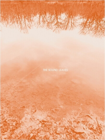 Brad E Rose Sound Leaves CD