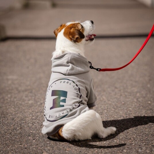 Feel Active Bromma Hettegenser Til Hund Grå 45