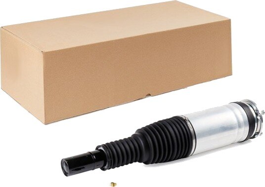 Luftdempere RIDEX 4118A0113