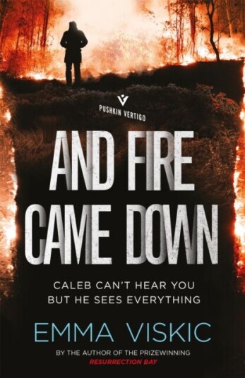 And Fire Came Down Av Emma Viskic