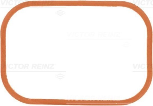 Tetning innsugningsmanifold REINZ 71 36068 00