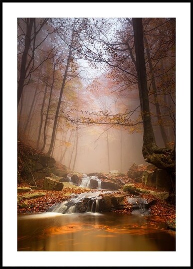 Mistyc mist Poster Plakat / 21x30cm
