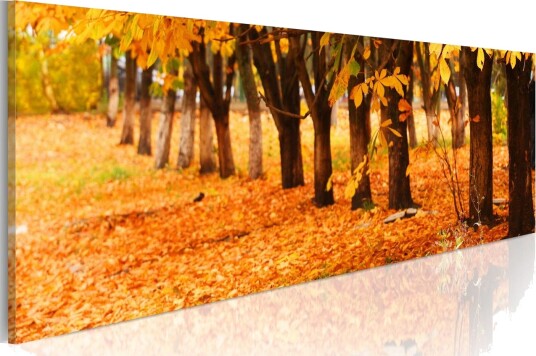 Bilde Park Covered With Golden Leaves 120x40 Artgeist sp. z o. o.