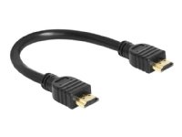 Delock High Speed HDMI with Ethernet - HDMI-kabel med Ethernet - HDMI hann til HDMI hann - 25 cm