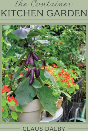 The Container Kitchen Garden
