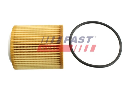 Oljefilter FAST FT38100 Oljefilter FAST FT38100