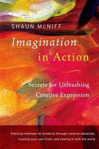 Imagination In Action Av Shaun Mcniff