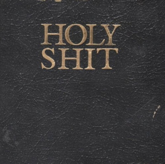 Living With Lions Holy Shit CD