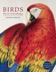 Birds Av Jonathan Elphick
