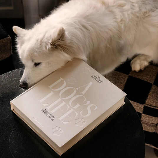 Printworks Hundefotoalbum A Dog's Life